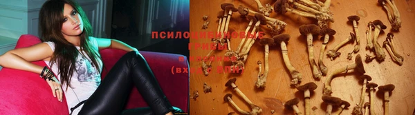 трава Баксан