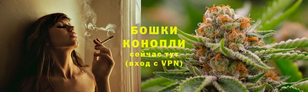 крисы Армянск